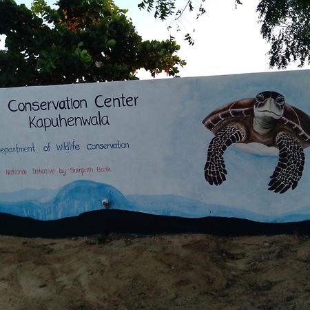 Jasmin Homestay Marakolliya Tangalle Exterior foto