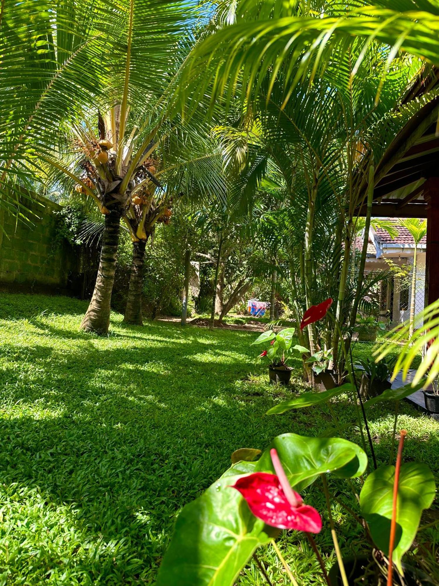 Jasmin Homestay Marakolliya Tangalle Exterior foto