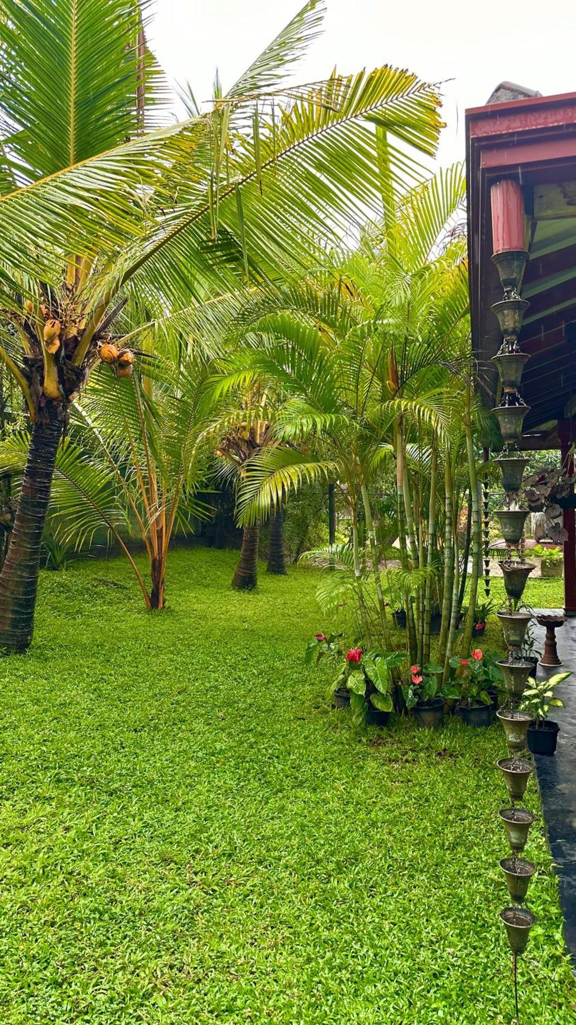 Jasmin Homestay Marakolliya Tangalle Exterior foto